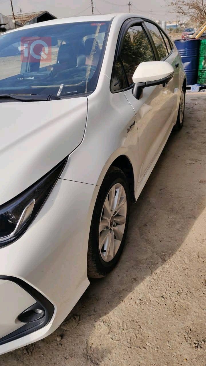 تويوتا كورولا